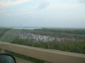 2007-Louisiana-Mission-Trip EBC (411).JPG